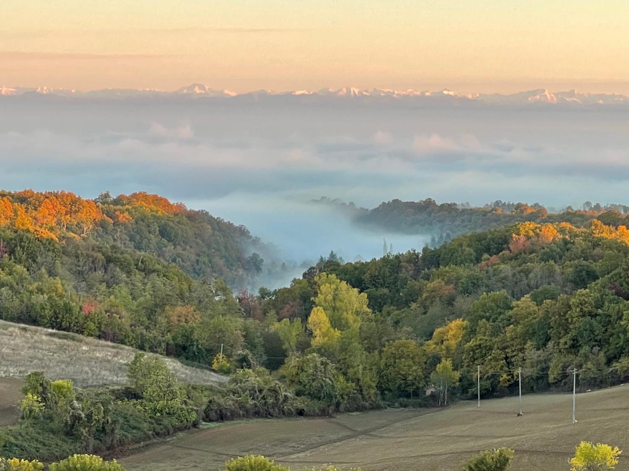 Il Viaggio Impresa Sociale Aparthotel Bicchignano Exteriör bild